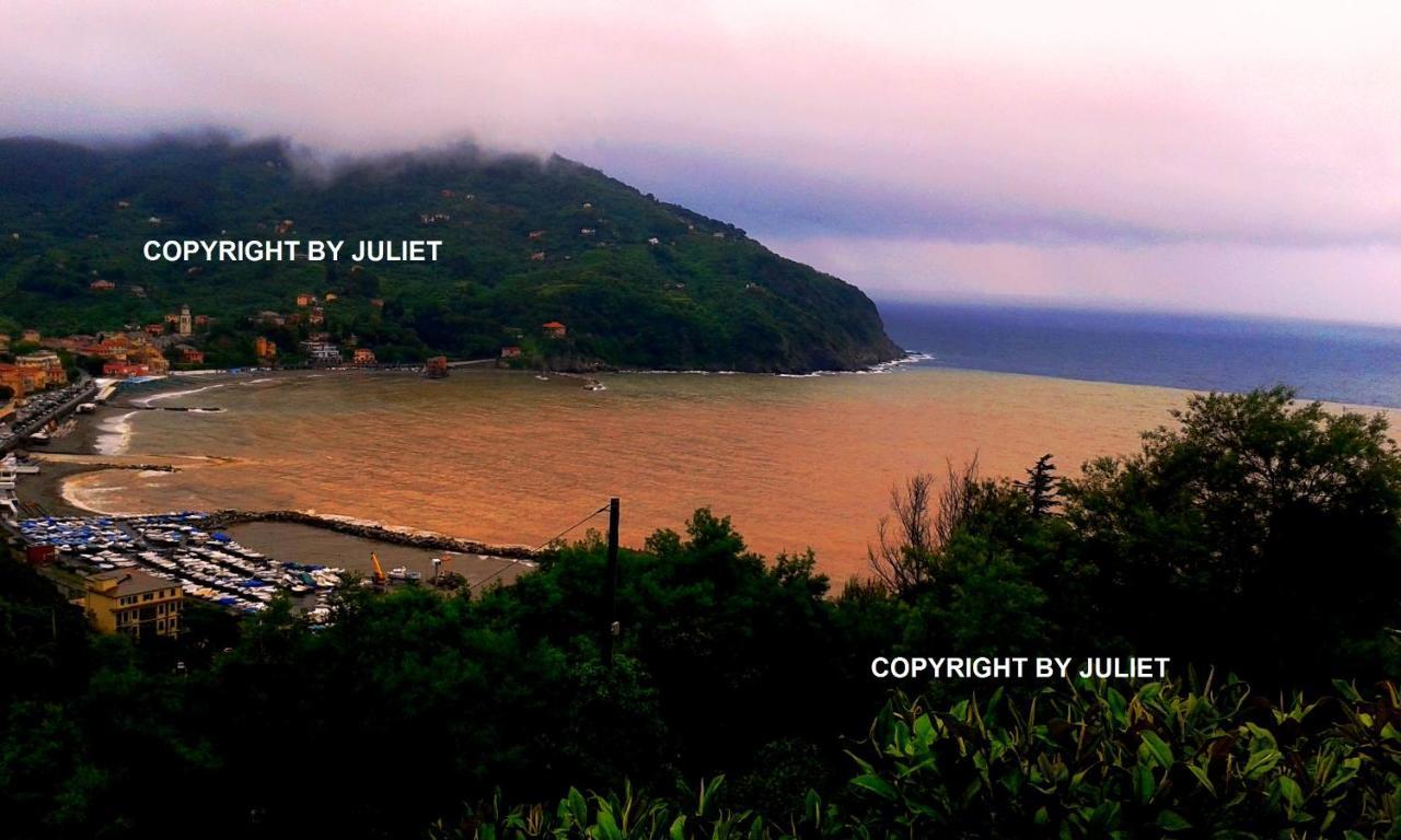 Juliet - Apartment In Liguria 5 Terre Unesco Site Levanto Exterior foto
